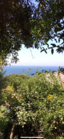 /album/fotogaleria/img-4809-png1/